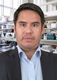 Arturo Mendoza, PhD